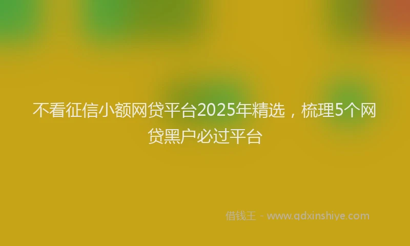 不看征信小额网贷平台2025年精选，梳理5个网贷黑户必过平台