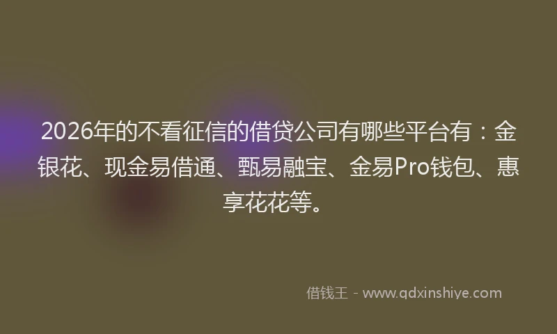 2026年的不看征信的借贷公司有哪些平台有：金银花、现金易借通、甄易融宝、金易Pro钱包、惠享花花等。