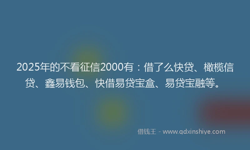 2025年的不看征信2000有：借了么快贷、橄榄信贷、鑫易钱包、快借易贷宝盒、易贷宝融等。