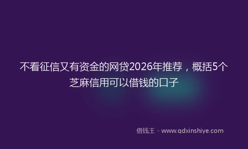 不看征信又有资金的网贷2026年推荐,概括5个芝麻信用可以借钱的口子