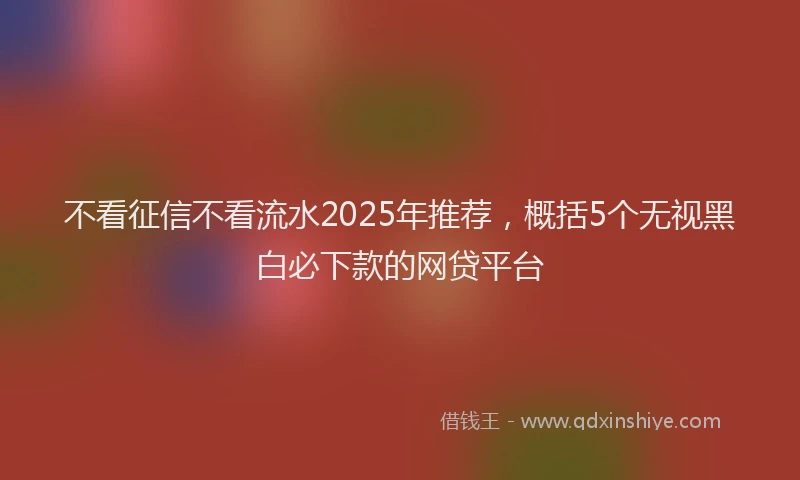 不看征信不看流水2025年推荐，概括5个无视黑白必下款的网贷平台