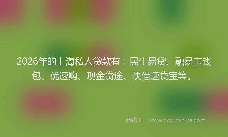 2026年的上海私人贷款有：民生易贷、融易宝钱包、优速购、现金贷途、快借速贷宝等。