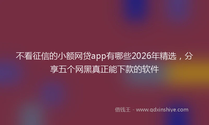 不看征信的小额网贷app有哪些2026年精选,分享五个网黑真正能下款的软件