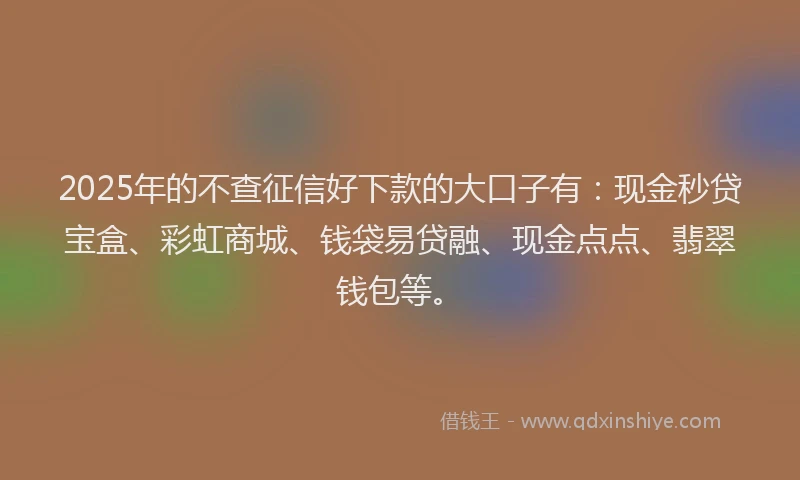 2025年的不查征信好下款的大口子有:现金秒贷宝盒、彩虹商城、钱袋易贷融、现金点点、翡翠钱包等。