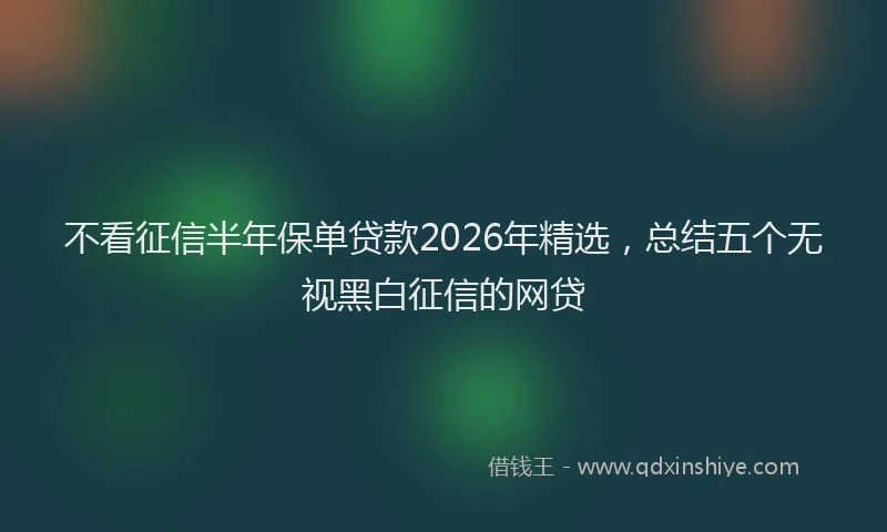 不看征信半年保单贷款2026年精选，总结五个无视黑白征信的网贷