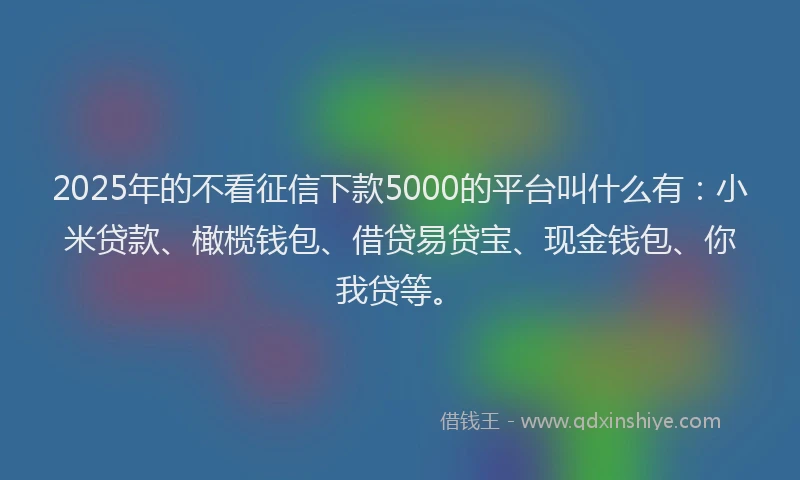 2025年的不看征信下款5000的平台叫什么有：小米贷款、橄榄钱包、借贷易贷宝、现金钱包、你我贷等。
