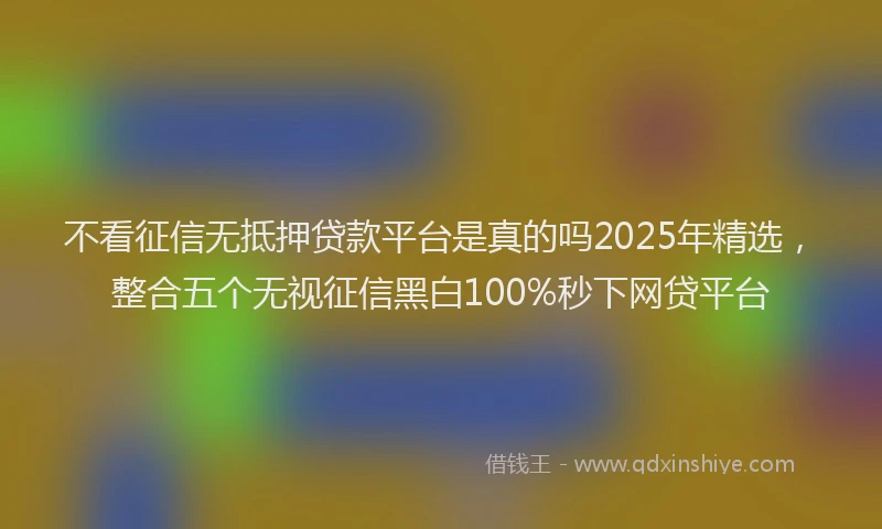 不看征信无抵押贷款平台是真的吗2025年精选，整合五个无视征信黑白100%秒下网贷平台