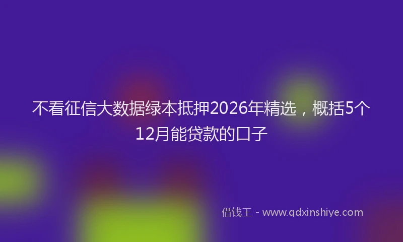 不看征信大数据绿本抵押2026年精选，概括5个12月能贷款的口子