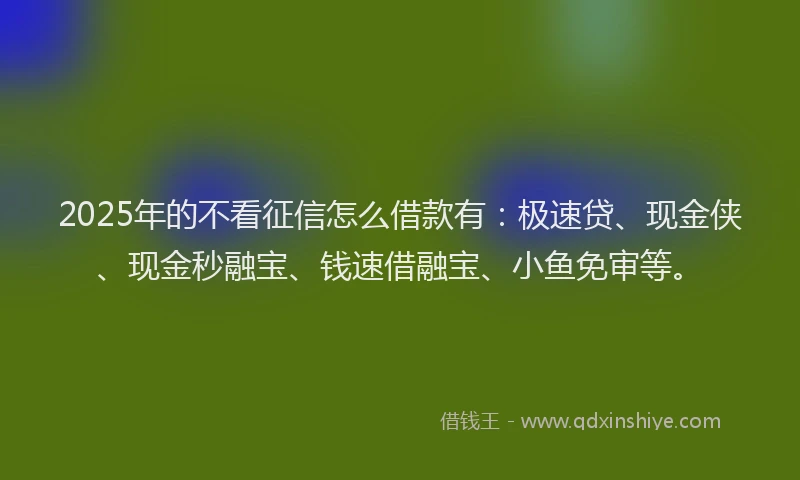2025年的不看征信怎么借款有：极速贷、现金侠、现金秒融宝、钱速借融宝、小鱼免审等。