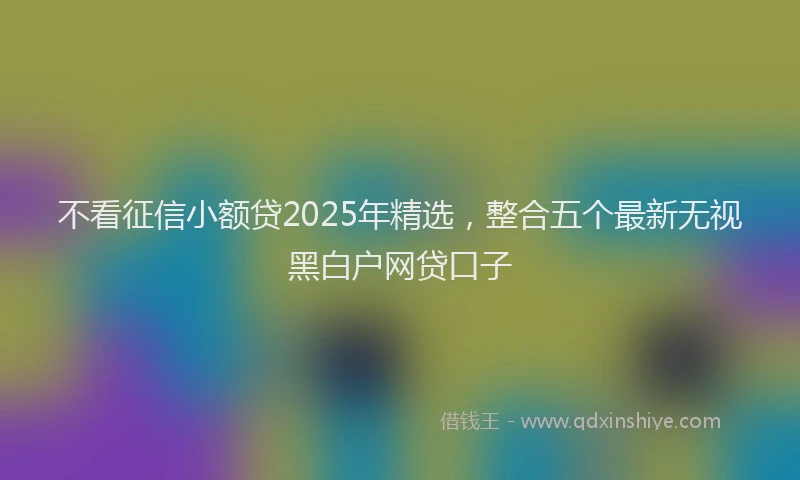 不看征信小额贷2025年精选，整合五个最新无视黑白户网贷口子