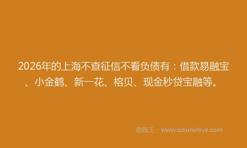 2026年的上海不查征信不看负债有：借款易融宝、小金鹤、新一花、榕贝、现金秒贷宝融等。
