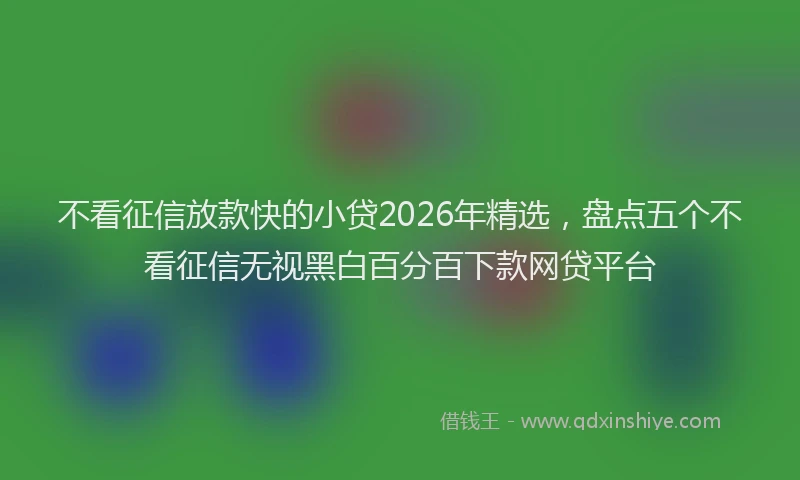不看征信放款快的小贷2026年精选，盘点五个不看征信无视黑白百分百下款网贷平台