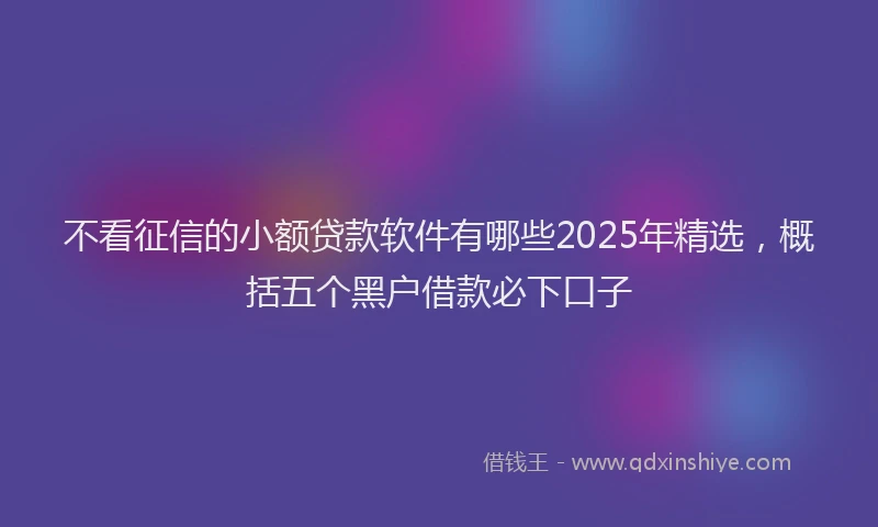 不看征信的小额贷款软件有哪些2025年精选，概括五个黑户借款必下口子