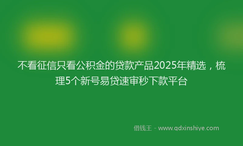 不看征信只看公积金的贷款产品2025年精选，梳理5个新号易贷速审秒下款平台