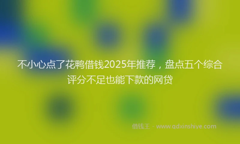 不小心点了花鸭借钱2025年推荐，盘点五个综合评分不足也能下款的网贷