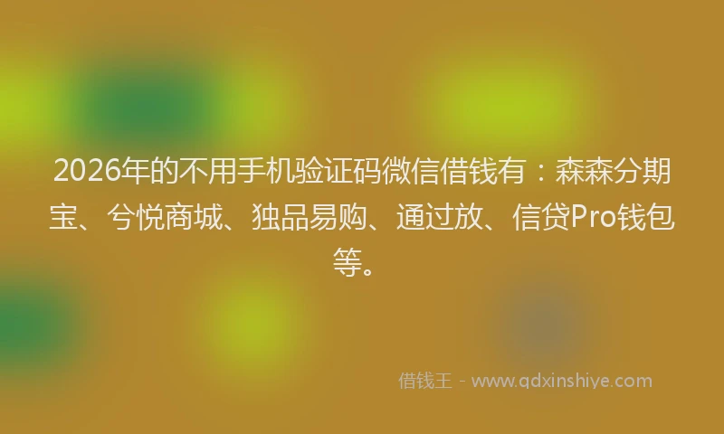 2026年的不用手机验证码微信借钱有：森森分期宝、兮悦商城、独品易购、通过放、信贷Pro钱包等。