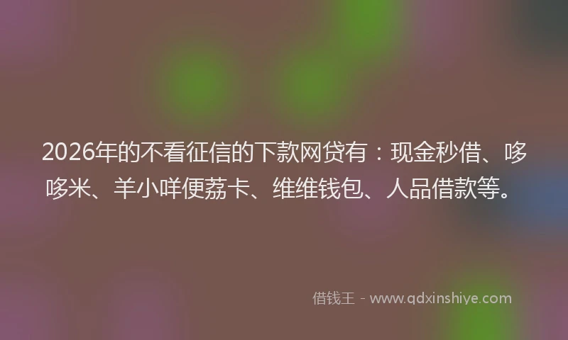 2026年的不看征信的下款网贷有：现金秒借、哆哆米、羊小咩便荔卡、维维钱包、人品借款等。