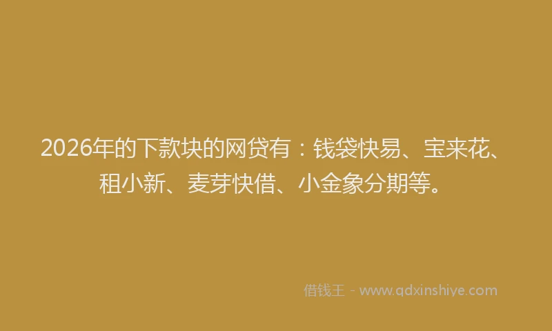 2026年的下款块的网贷有：钱袋快易、宝来花、租小新、麦芽快借、小金象分期等。