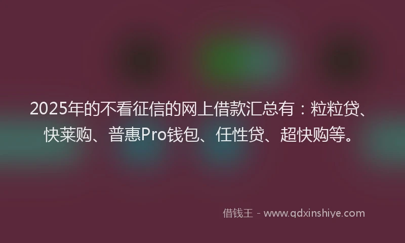 2025年的不看征信的网上借款汇总有：粒粒贷、快莱购、普惠Pro钱包、任性贷、超快购等。