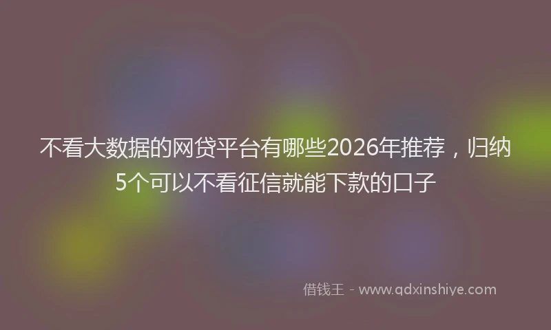 不看大数据的网贷平台有哪些2026年推荐，归纳5个可以不看征信就能下款的口子
