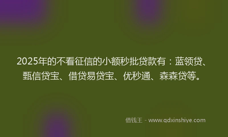 2025年的不看征信的小额秒批贷款有：蓝领贷、甄信贷宝、借贷易贷宝、优秒通、森森贷等。