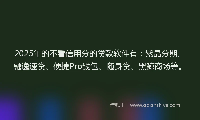 2025年的不看信用分的贷款软件有：紫晶分期、融逸速贷、便捷Pro钱包、随身贷、黑鲸商场等。