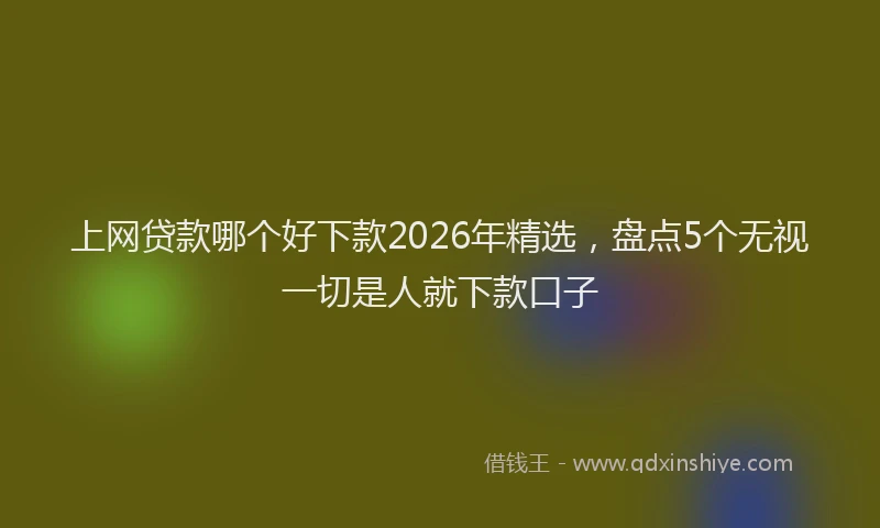 上网贷款哪个好下款2026年精选，盘点5个无视一切是人就下款口子