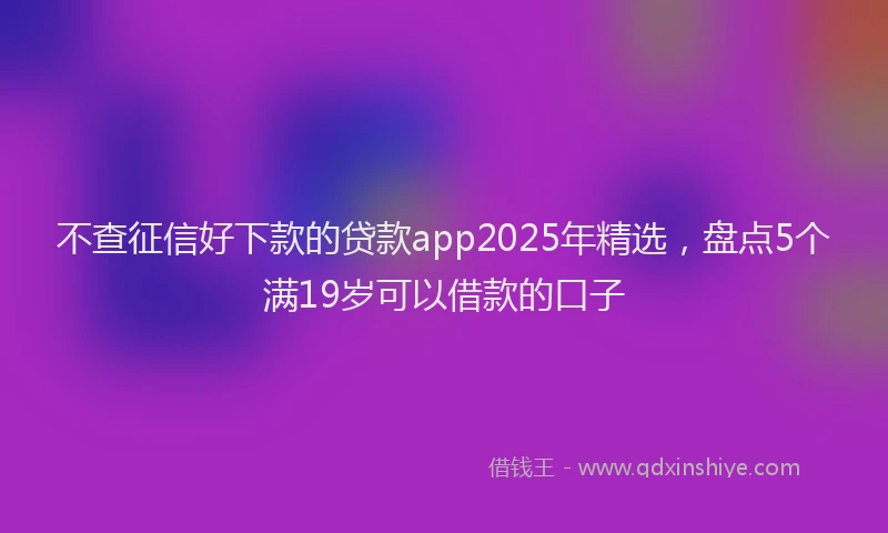 不查征信好下款的贷款app2025年精选，盘点5个满19岁可以借款的口子
