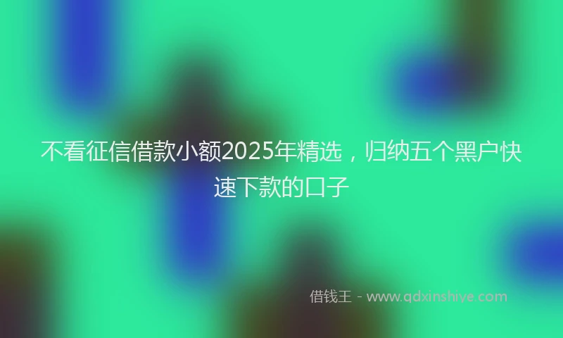 不看征信借款小额2025年精选，归纳五个黑户快速下款的口子