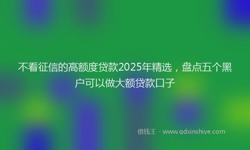 不看征信的高额度贷款2025年精选，盘点五个黑户可以做大额贷款口子
