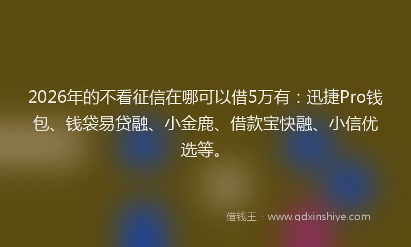 2026年的不看征信在哪可以借5万有：迅捷Pro钱包、钱袋易贷融、小金鹿、借款宝快融、小信优选等。
