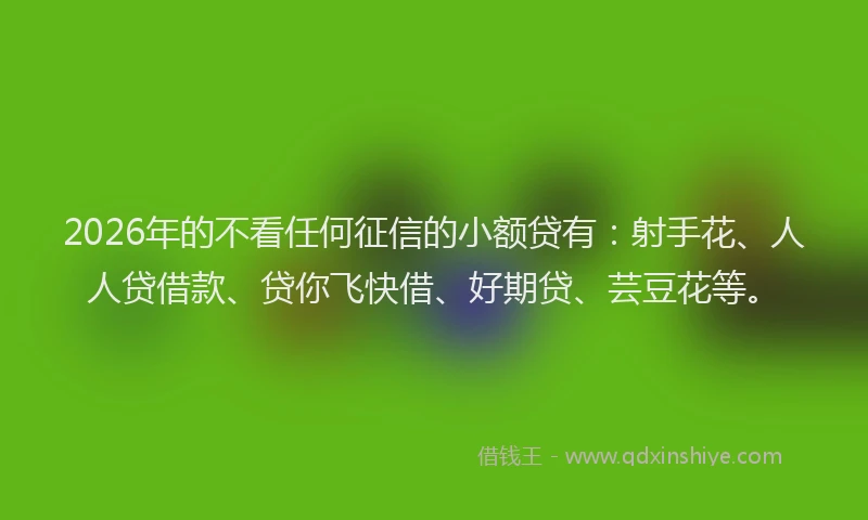 2026年的不看任何征信的小额贷有：射手花、人人贷借款、贷你飞快借、好期贷、芸豆花等。