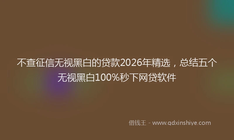 不查征信无视黑白的贷款2026年精选,总结五个无视黑白100%秒下网贷软件