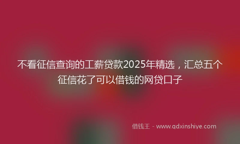 不看征信查询的工薪贷款2025年精选，汇总五个征信花了可以借钱的网贷口子