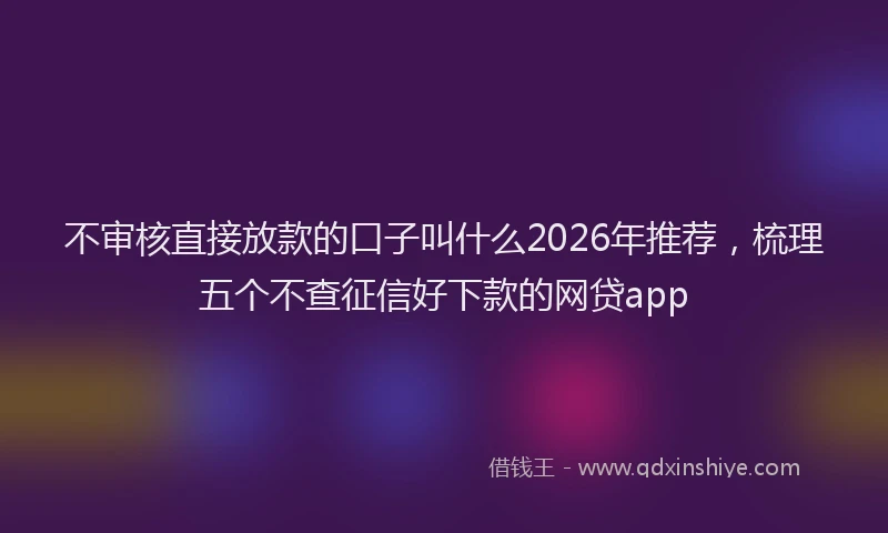 不审核直接放款的口子叫什么2026年推荐，梳理五个不查征信好下款的网贷app