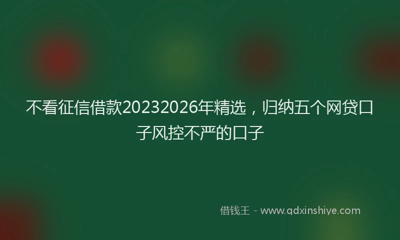 不看征信借款20232026年精选，归纳五个网贷口子风控不严的口子