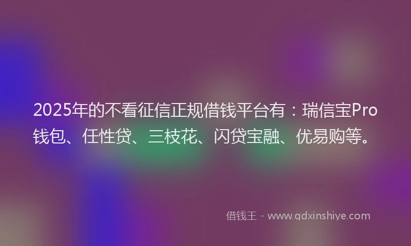 2025年的不看征信正规借钱平台有：瑞信宝Pro钱包、任性贷、三枝花、闪贷宝融、优易购等。