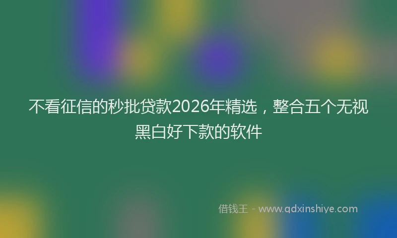 不看征信的秒批贷款2026年精选，整合五个无视黑白好下款的软件