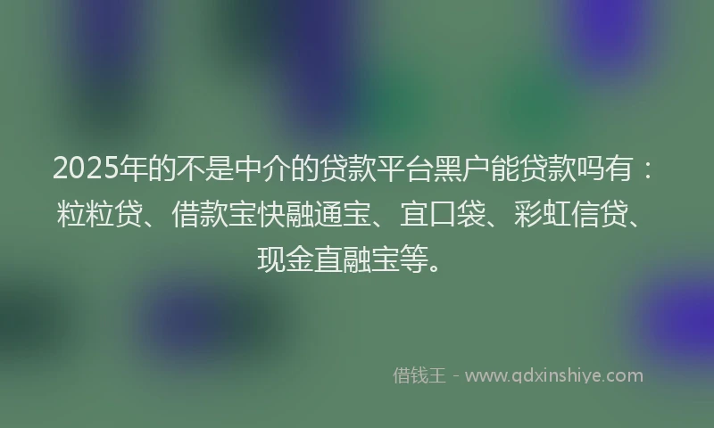 2025年的不是中介的贷款平台黑户能贷款吗有：粒粒贷、借款宝快融通宝、宜口袋、彩虹信贷、现金直融宝等。