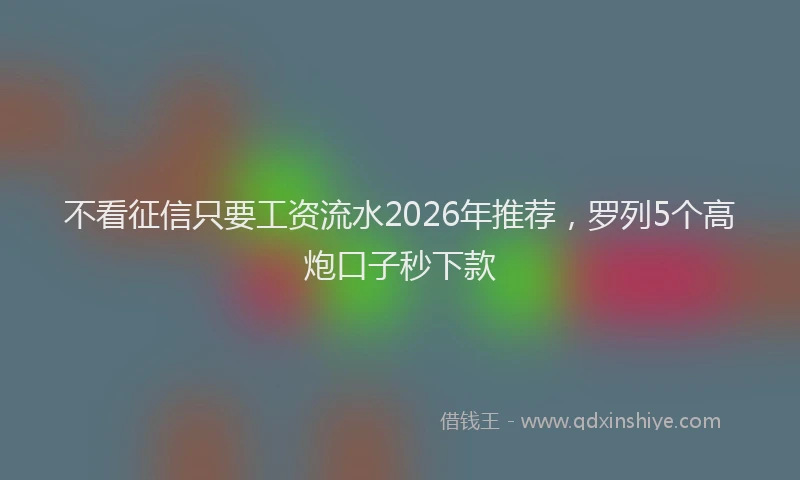 不看征信只要工资流水2026年推荐，罗列5个高炮口子秒下款
