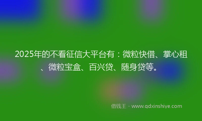 2025年的不看征信大平台有：微粒快借、掌心租、微粒宝盒、百兴贷、随身贷等。