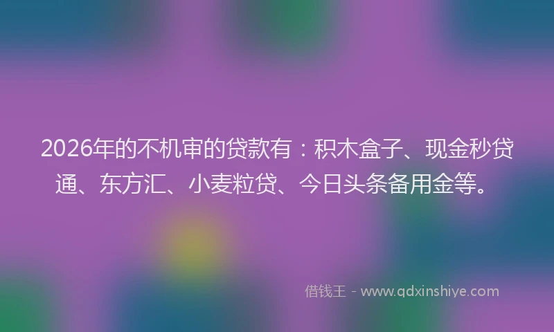 2026年的不机审的贷款有:积木盒子、现金秒贷通、东方汇、小麦粒贷、今日头条备用金等。