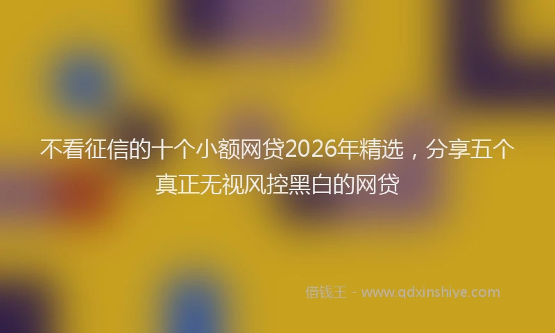 不看征信的十个小额网贷2026年精选，分享五个真正无视风控黑白的网贷