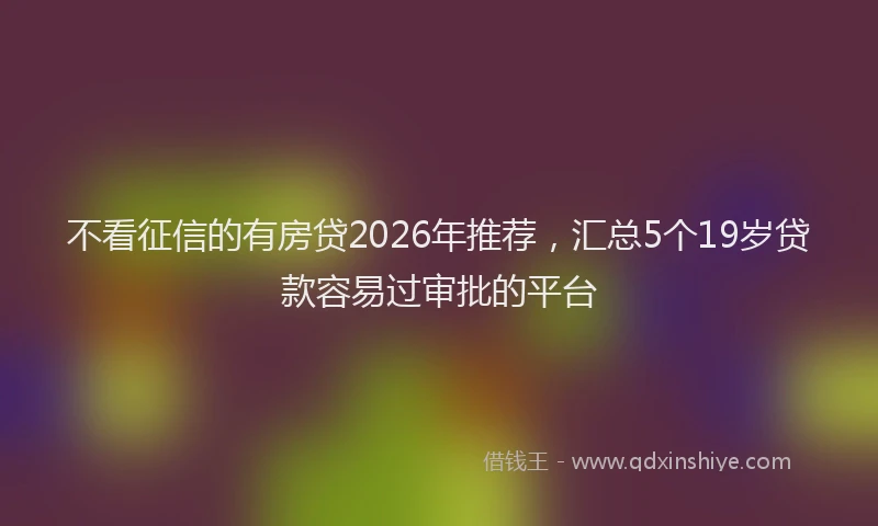 不看征信的有房贷2026年推荐，汇总5个19岁贷款容易过审批的平台