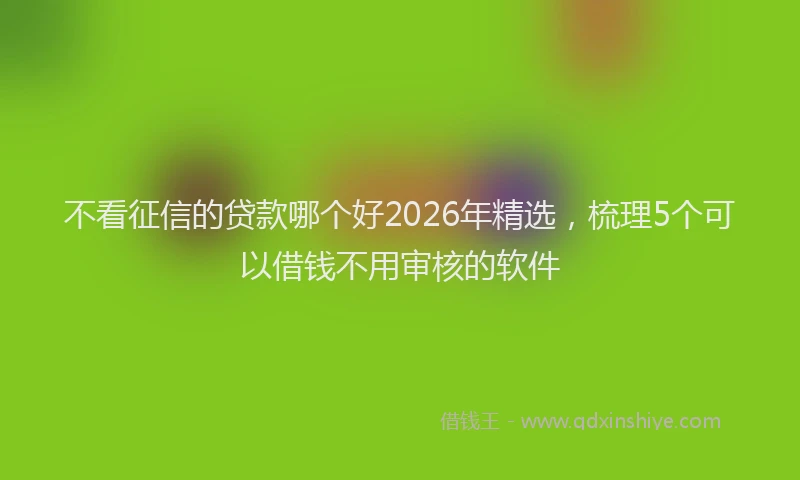 不看征信的贷款哪个好2026年精选，梳理5个可以借钱不用审核的软件
