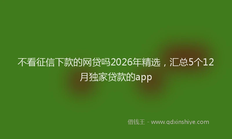 不看征信下款的网贷吗2026年精选，汇总5个12月独家贷款的app