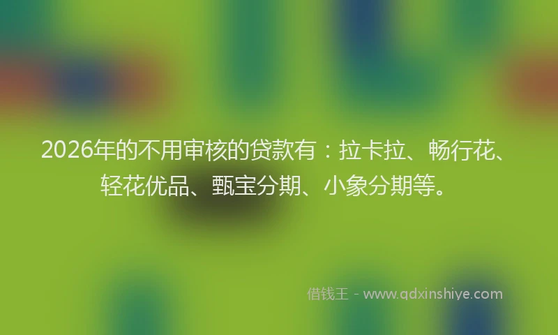 2026年的不用审核的贷款有：拉卡拉、畅行花、轻花优品、甄宝分期、小象分期等。