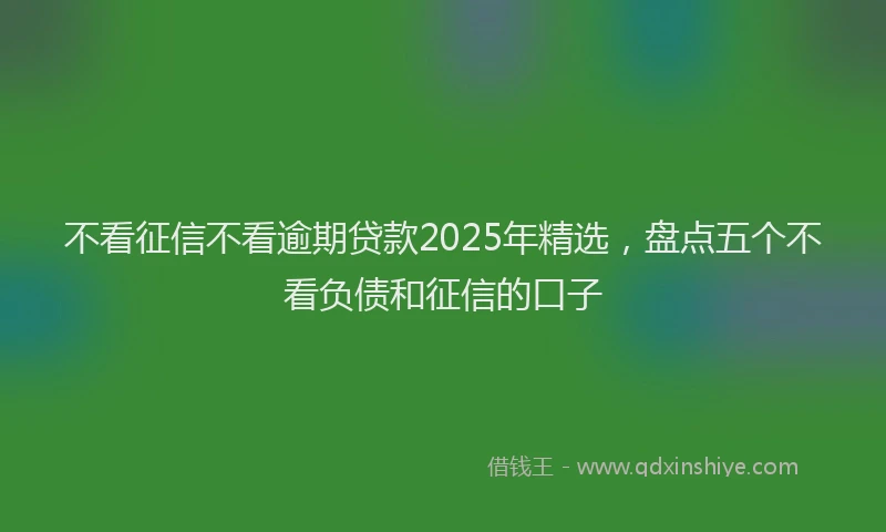 不看征信不看逾期贷款2025年精选，盘点五个不看负债和征信的口子