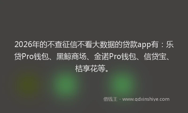 2026年的不查征信不看大数据的贷款app有：乐贷Pro钱包、黑鲸商场、金诺Pro钱包、信贷宝、桔享花等。