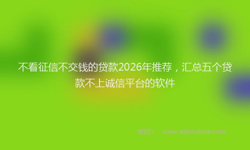 不看征信不交钱的贷款2026年推荐，汇总五个贷款不上诚信平台的软件